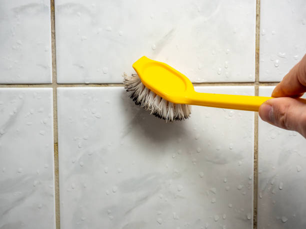 Best Fast Mold Removal  in Wedgefield, SC