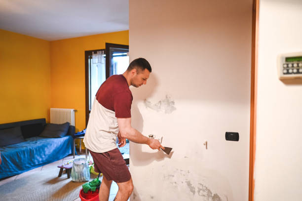 Best Best Mold Removal Companies  in Wedgefield, SC