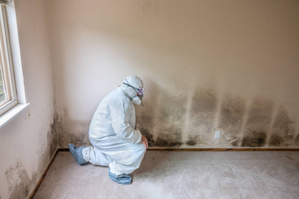 Best Crawl Space Mold Removal  in Wedgefield, SC