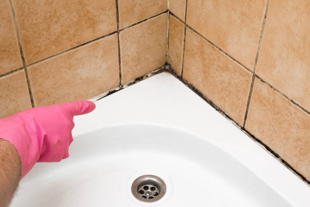 Best Mold Testing  in Wedgefield, SC